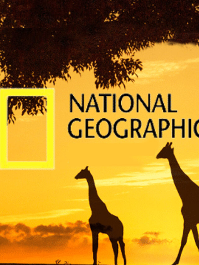 National Geographic Internship Program 2024